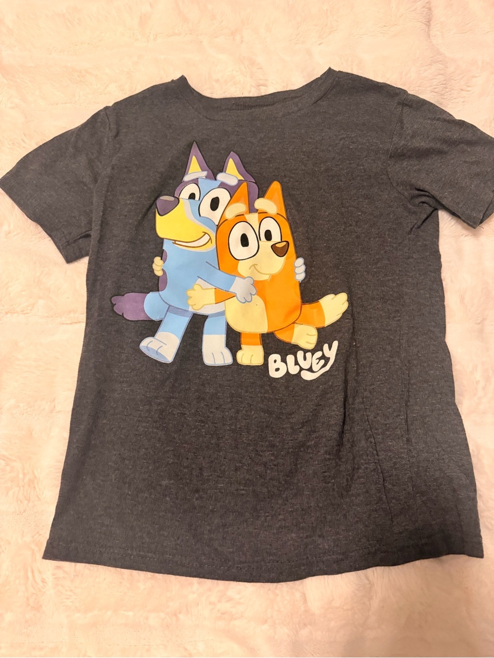 Bluey Graphic Short Sleeve Tee - Charcoal